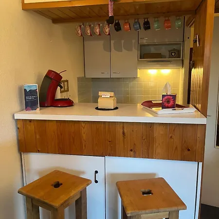 Au Pied Des Pistes Apartment *