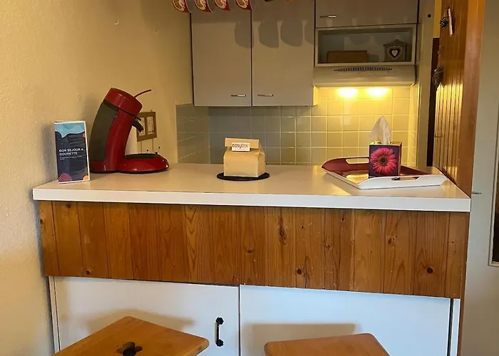 Au Pied Des Pistes Lejlighed *