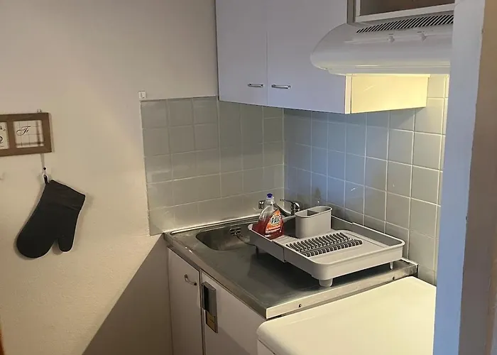 Au Pied Des Pistes * Eaux-Bonnes